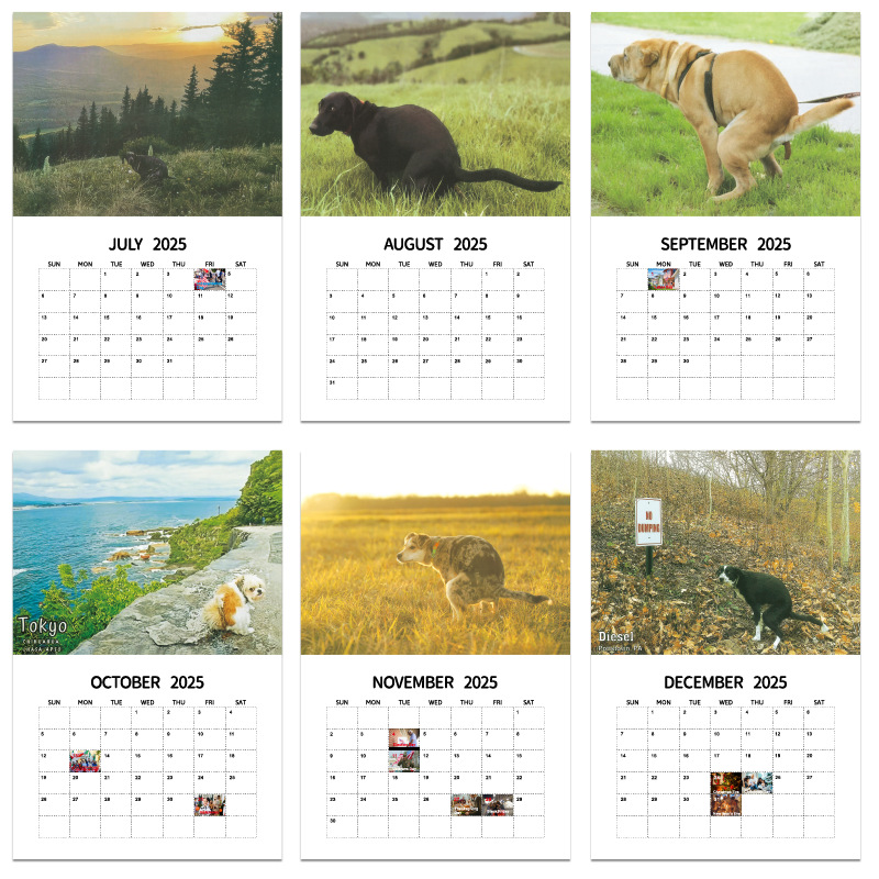 Kalender 2025, honden poepen in mooie plaatsen, grappige gag-geschenken, dik papier, wandkalender, vakantie, kerst, witte olifantgeschenken