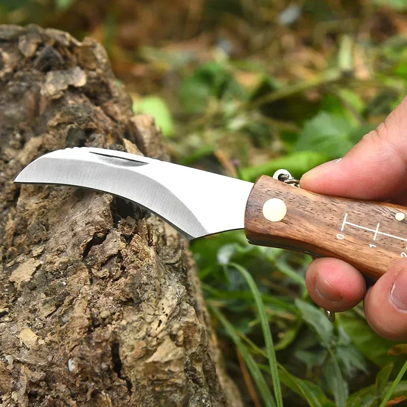 มัลติฟังก์ชั่นสแตนเลสแปรงพับกลางแจ้งมินิเห็ดมีด EDC ไม้ Handle SHARP แคมป์ล่าสัตว์ survival