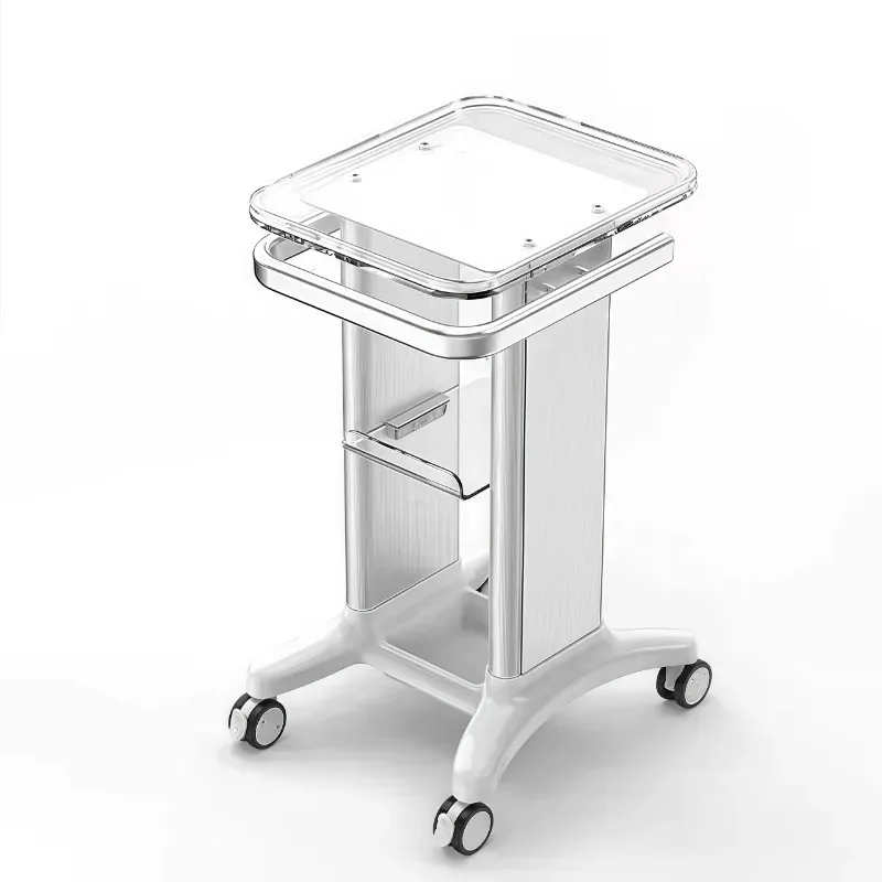 미용 전문 미적 카트 주최자 카트 바퀴 핸드 카트 롤링 Carrito Auxiliar De Spa 뷰티 살롱 가구