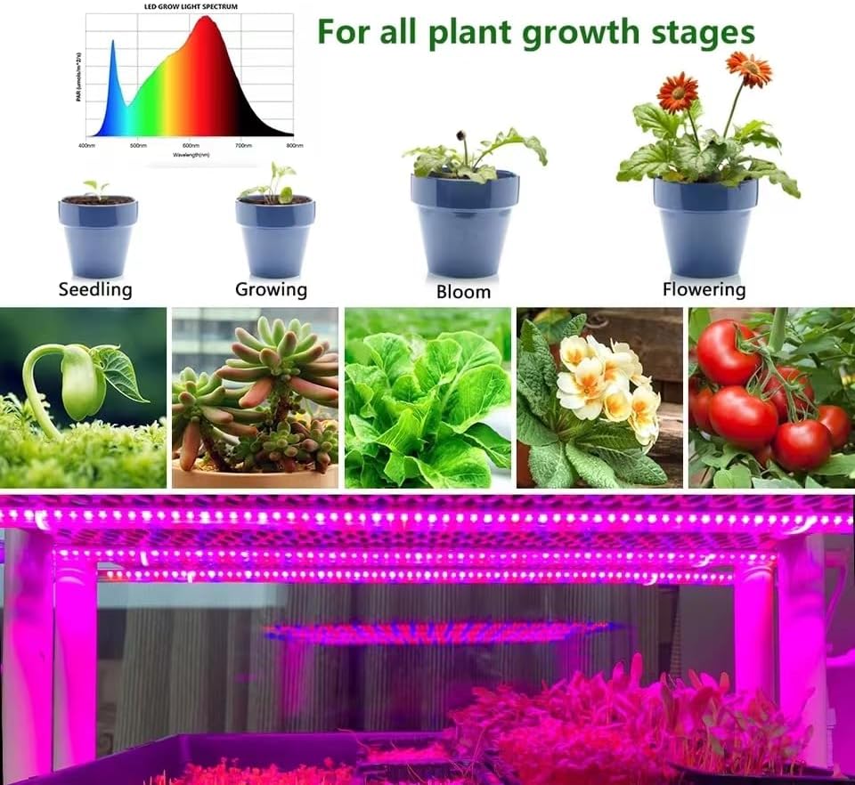 5V 植物ライト成長 LED ストリップ 5V USB LED 1-5 メートルフルスペクトル LED チップ温室花苗成長テントハイドロポン