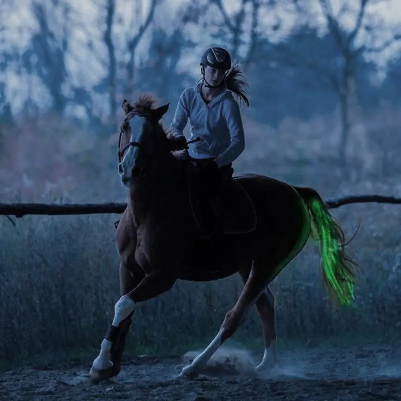 100 cm de comprimento recarregável led equitação caudas decoração tubos luminosos cavalos equitação equestre sela cavilhas cuidados com os cavalos prod