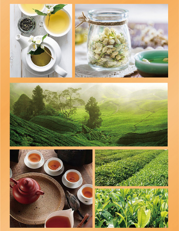 Master Kong, Jasmine Honey Tea, Pack of 5, 500ml/bottle
