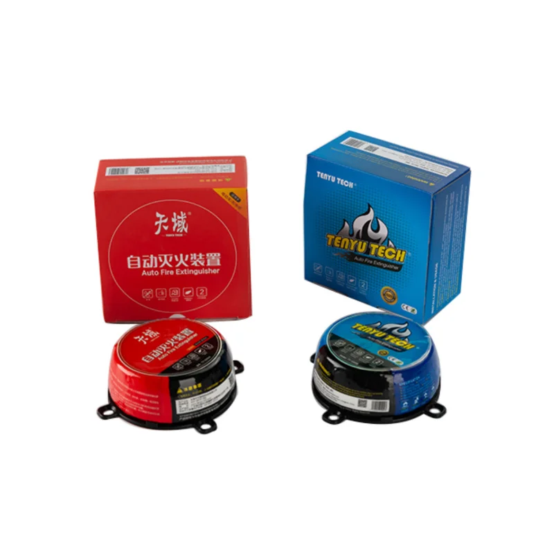 High-Performance 0.3kg Vehicle Mounted Dry Powder Fire Extinguishing Equipment  Compact & Efficient for Swift Emergency Response