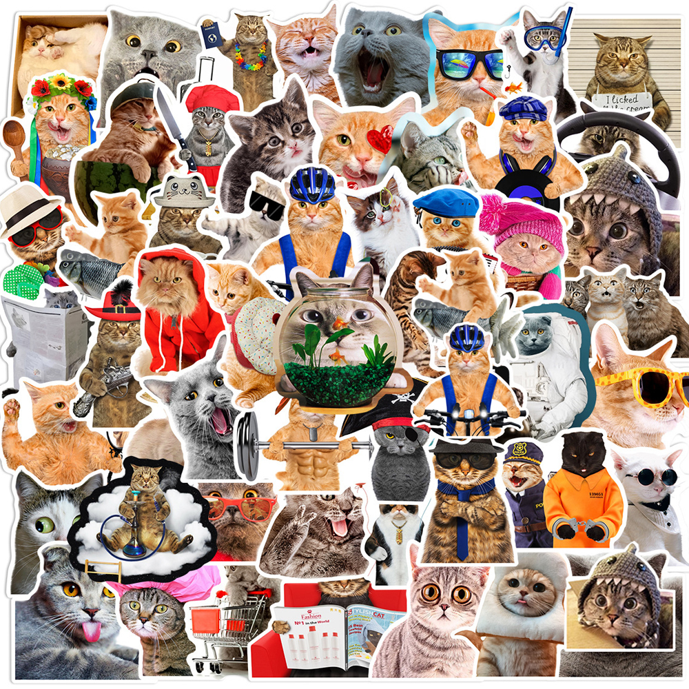 10/30/66 個かわいい面白いミーム猫ステッカーかわいい漫画の動物デカールラップトップオートバイスーツケースノートブック防水ステッカー