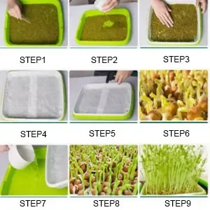 Hydroponic Germination Tray/Microgreens Germination Tray for Hydroponic Systems Sprout Horticulture Tray Garden Nursery Vase