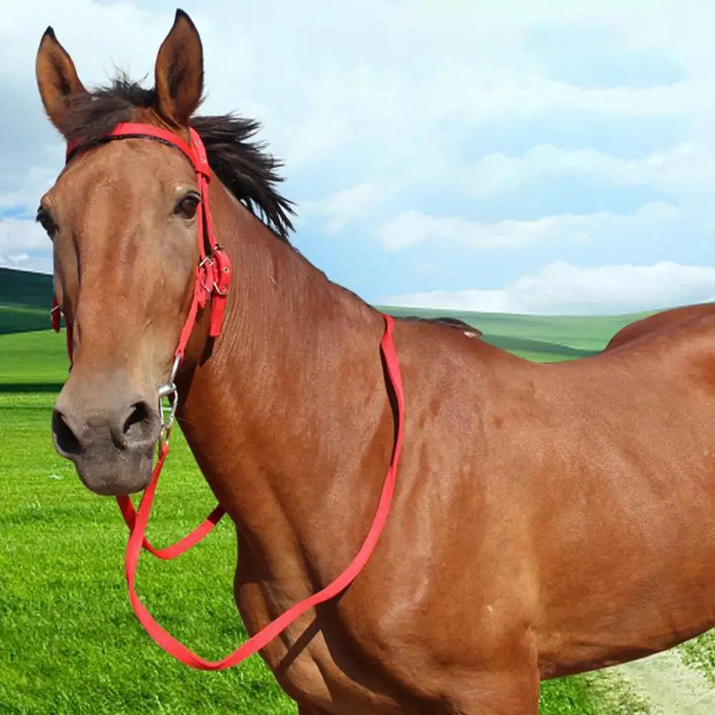 Pferdehalfter, verstellbarer Kinn-Pferdehalfter, Plüsch gepolstert, Pferdetraining, Reitsport-Zubehör, verstellbare Schnalle, Pferdehalter