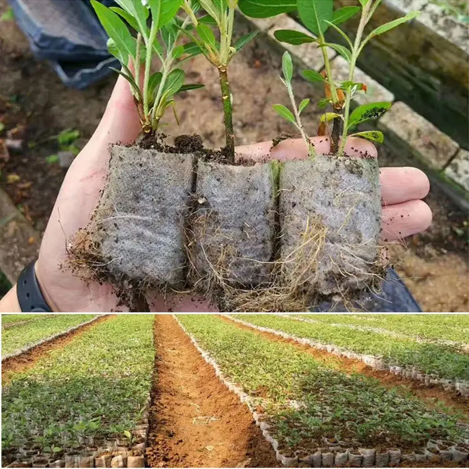 Sacchetti per vivaio biodegradabili da 100 pezzi, sacchetti per piante in tessuto non tessuto, sacchetti per piante in vasi per piantine in tessuto, forniture per giardino domestico