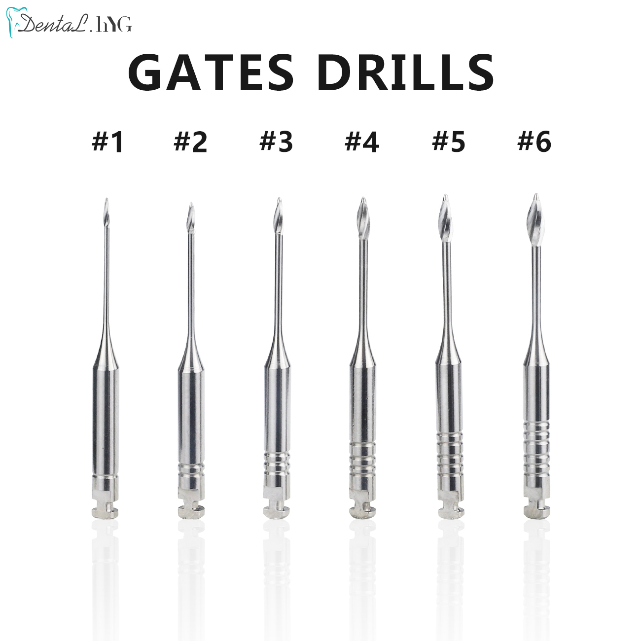 6 Teile/schachtel Dental Motor Verwenden Endodontie Tore Bohrer Peeso Reibahlen Glidden Rotary 28mm/32mm # 1-6 Edelstahl-Endo-Feilen für Zahnarzt