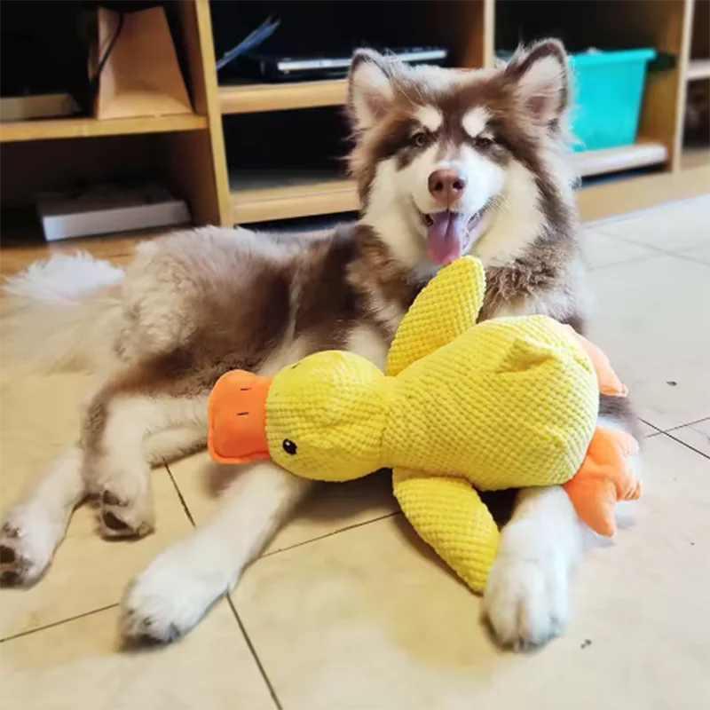 Schattig hondenspeelgoed Stomping Duck Bijtbestendig Tandenslijpen Reinigen Grote hond Interactief entertainment Puppy Verveling Knuffel