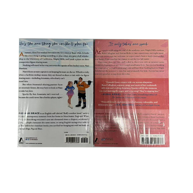 2 Bücher/Set von Hannah Grace Icebreaker und Wildfire Taschenbuch, englisches Romanbuch