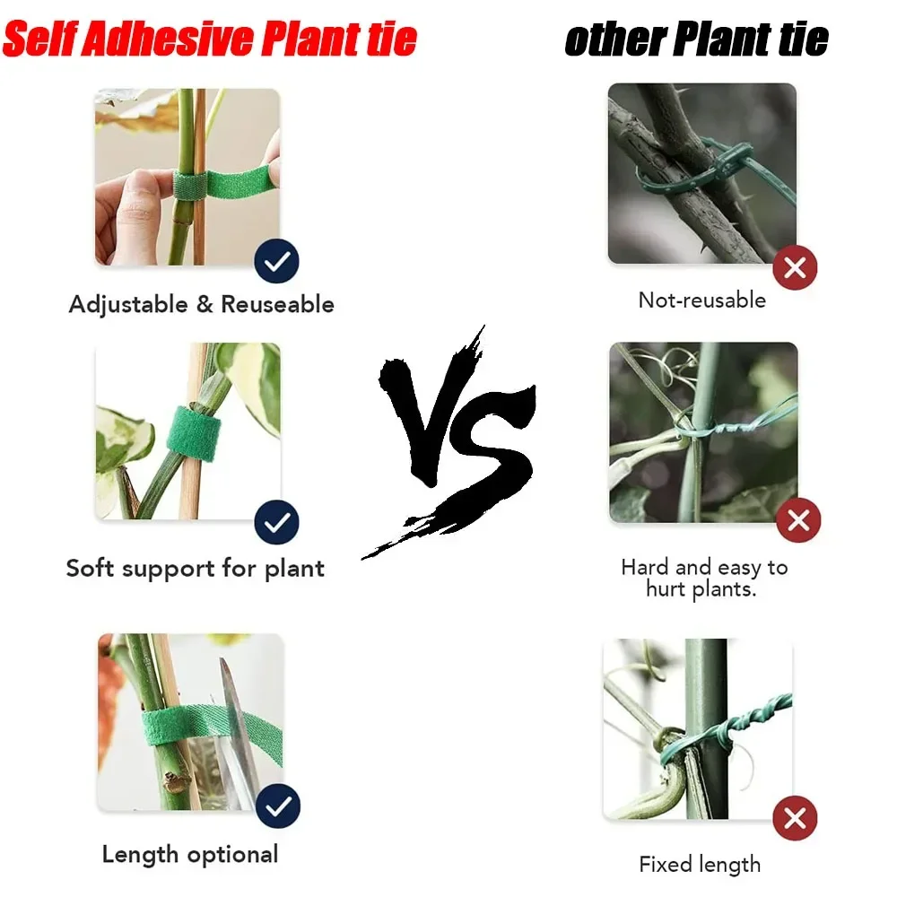 Fascetta per piante Pianta autoadesiva regolabile Cavo in nylon Gancio Anello Supporto Fasciatura per spago da giardino Strisce di nastro di fissaggio riutilizzabili