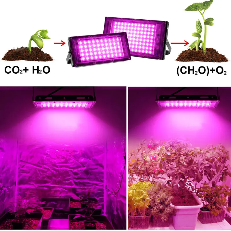 ファイトランプ 50 ワット 100 ワット 300 ワット植物用ファイトランプフルスペクトル Led 栽培植物栽培者屋内文化 Led 成長ランプ Uv ランプ