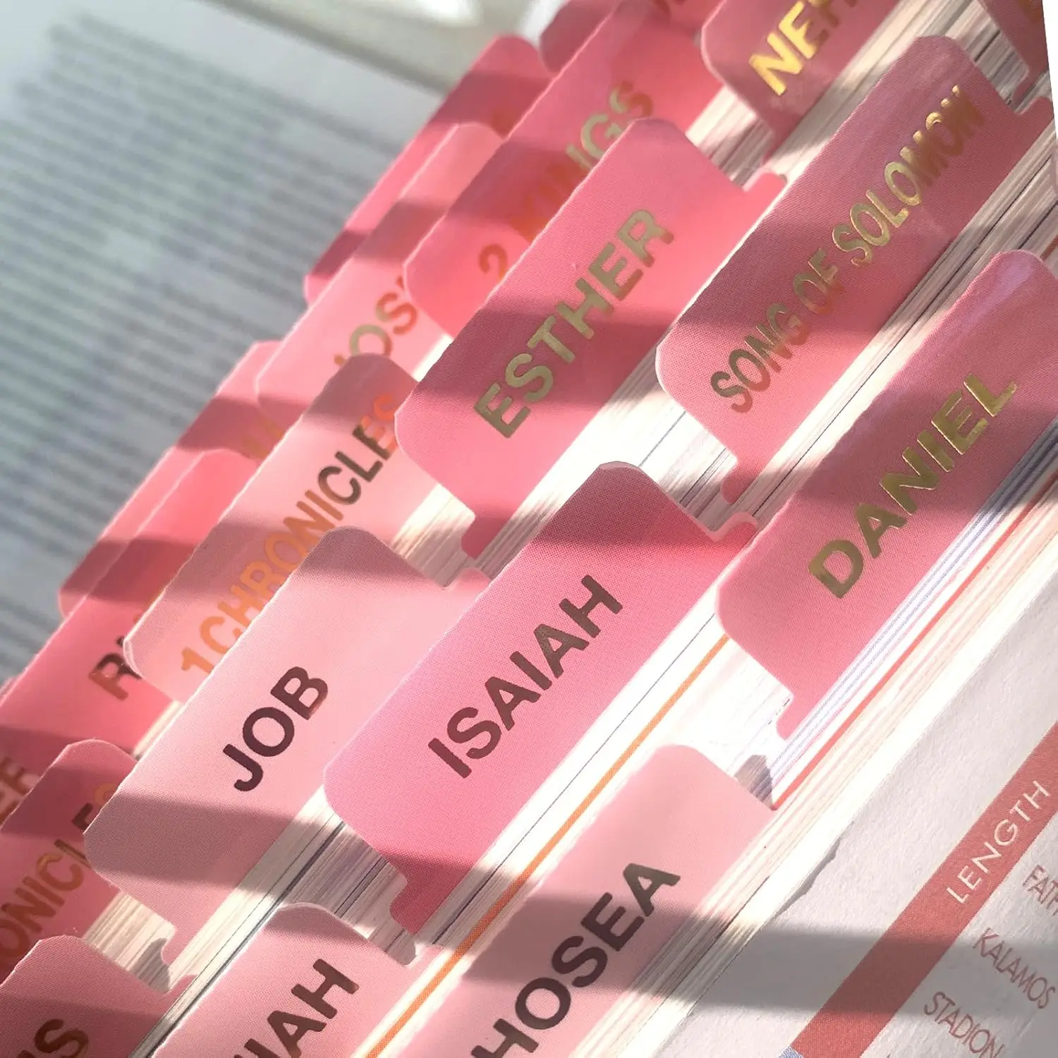 Pestañas de la Biblia rosas Pestañas de la Biblia laminadas con estampado grande para mujeres y hombres Pestañas de libros de la Biblia fáciles de leer para estudiar Pestañas de índice de la Biblia