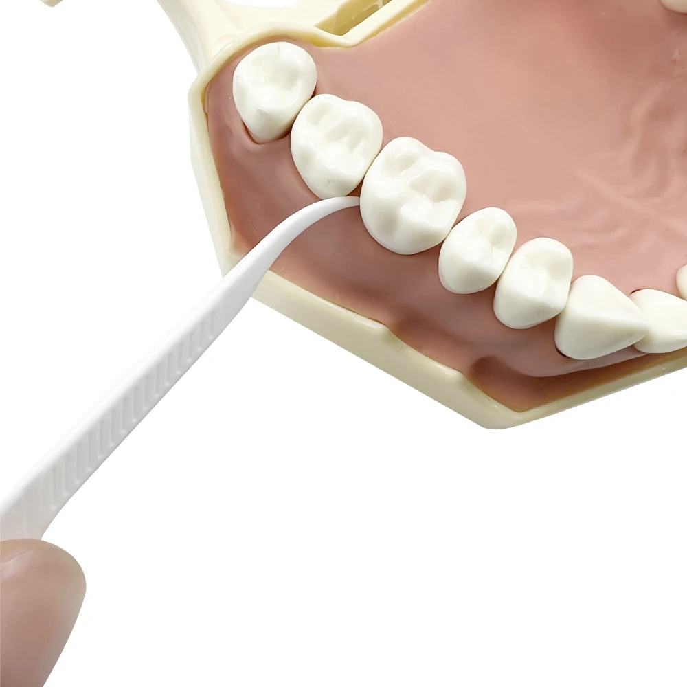 Kit de viaje de hilo Dental con caja de almacenamiento, selecciones de hilo superfino desechables para cuidado bucal portátil, 10 Uds.