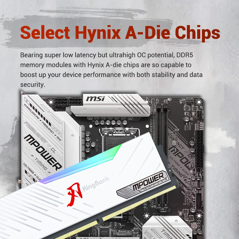 KingBank Memoria Ram RGB DDR5 16 GB 7600 MHz MPOWER XMP 3.0 16 GB x 2 Stück UDIMM Desktop UDIMMRAM PC Computerspeicher Hynix A Die Chip
