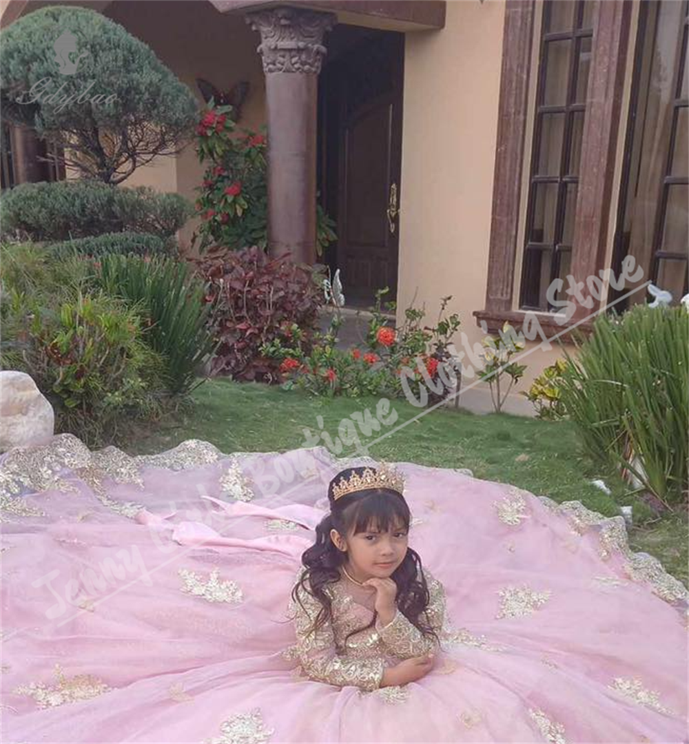 Robe de luxe à fleurs roses pour filles, pour mariage, avec nœud moelleux, manches longues, avec des appliques dorées, robe de princesse d'anniversaire, adaptée aux événements formels