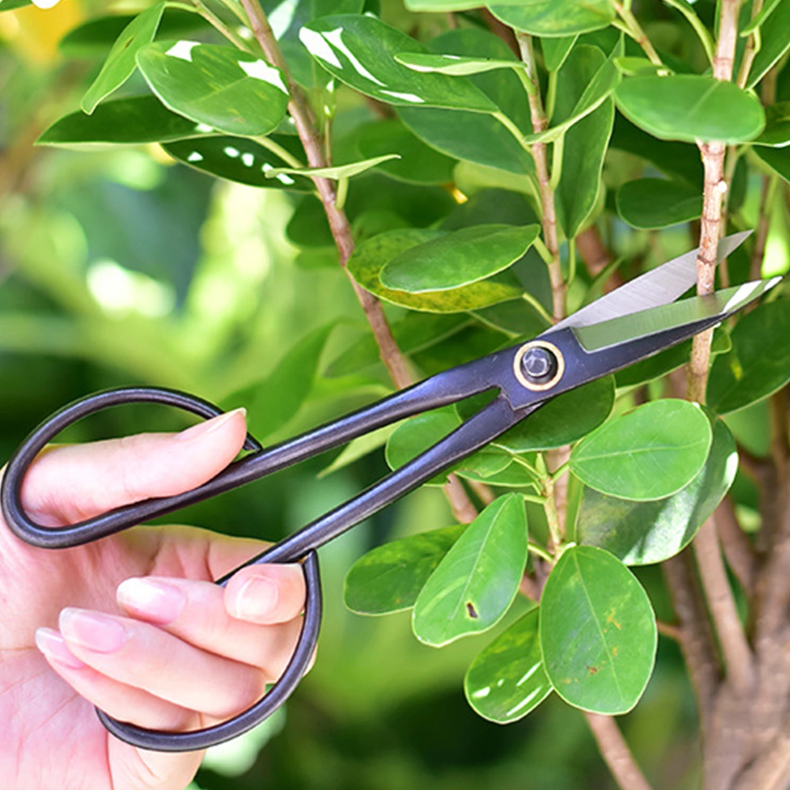 Beginner Bonsai Tool Long Handle Black Scissors Branch Pruning Shears for Arranging Flowers and Trimming Plants Garden Tools