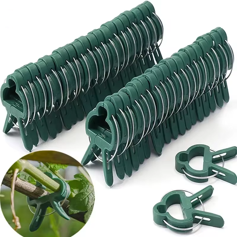 20 pezzi clip fisse per piante staffa riutilizzabile per serra da giardino per piante fisse vite fiore piantina stelo supporto t forniture da giardino