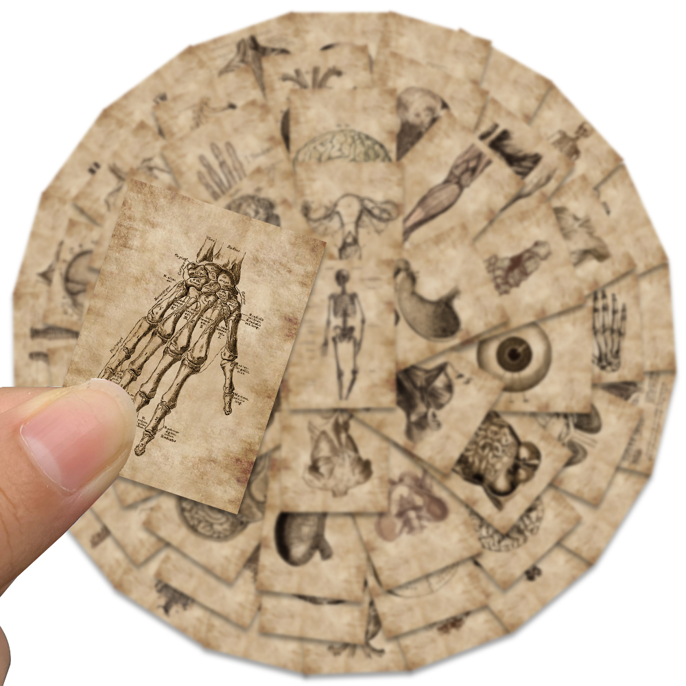 56 pçs criativo anatomia humana fisiologia coração crânio órgãos internos adesivo esqueleto graffiti adesivos bagagem portátil adesivo