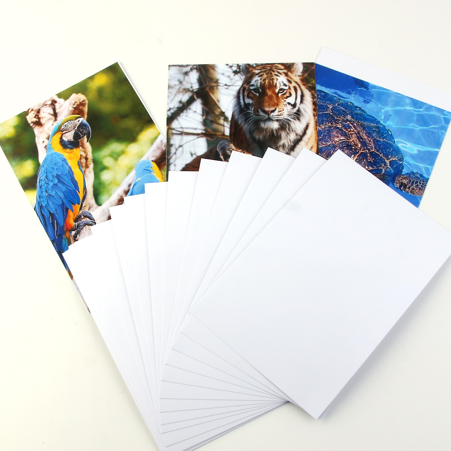 20 hojas de papel fotográfico de inyección de tinta de 4x6 pulgadas, papel fotográfico de tinta brillante 4R, secado instantáneo, adecuado para impresoras de tinta de tinte