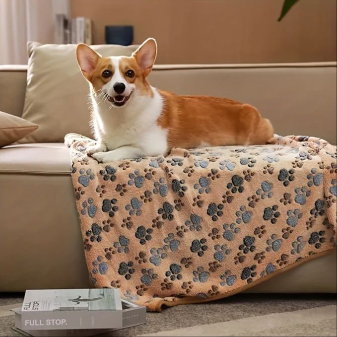 Coperta per tappetino per cani Coperta morbida e soffice per animali domestici Modello di zampe carine Coperta morbida per cani e gatti Tappetino per animali domestici Forniture per animali domestici per cani gatti