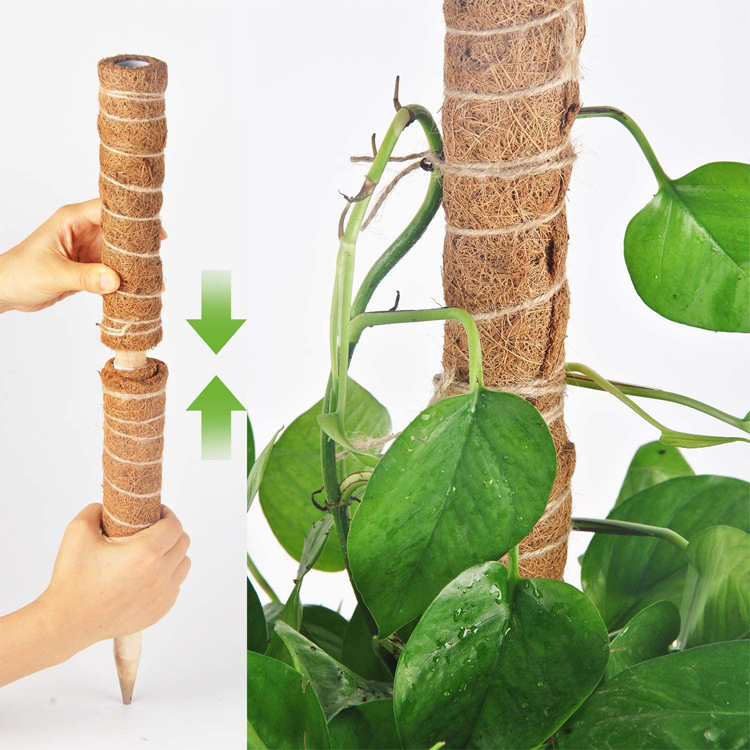 Poste de escalada de tracción para plantas, varilla de palma de coco Natural, 30cm/40cm/50cm, se puede combinar libremente con un pilar de jardín empalmado, 1 ud.