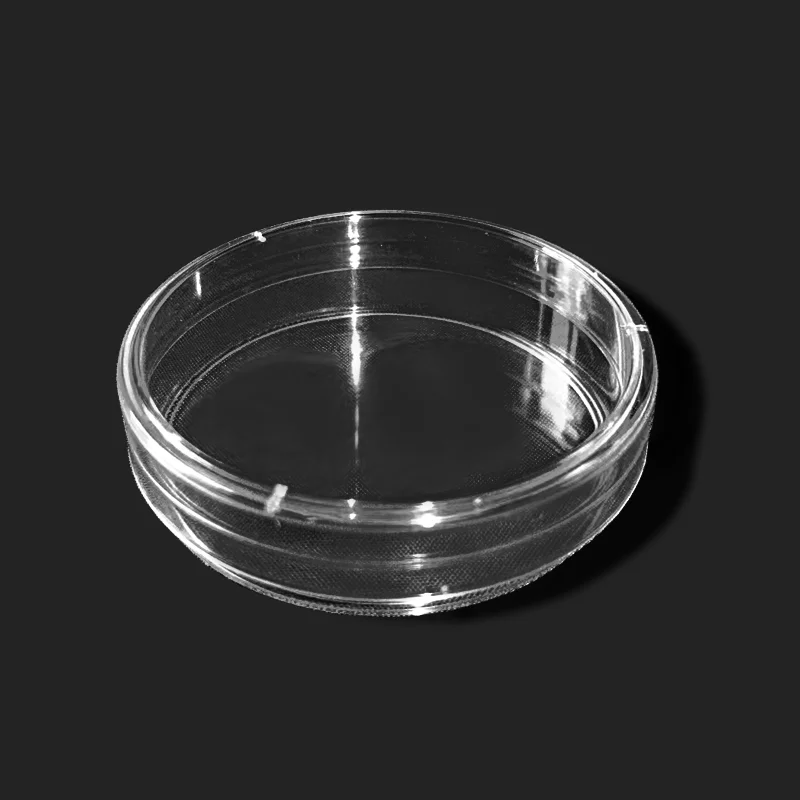 10 pz 60mm plastica trasparente piastre Petri cella Sterile piatto di coltura forniture di laboratorio