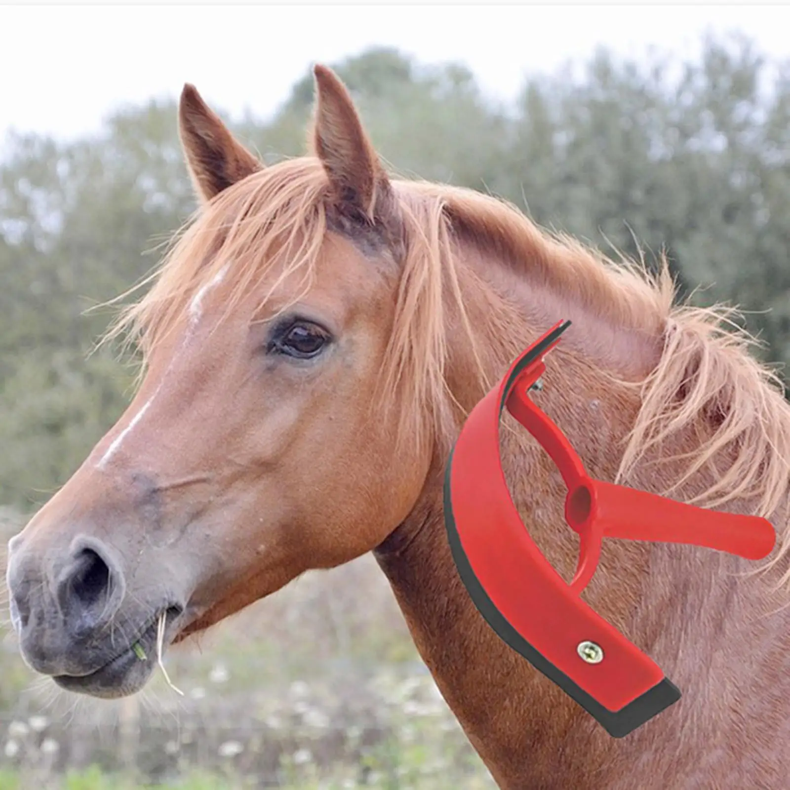 Rascador de sudor ecuino de animales de calidad, cepillo de limpieza para caballos, cuidado de caballos, raspador de sudor