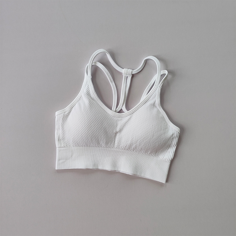 Ropa interior deportiva para mujer, a prueba de golpes, para correr, verano, secado rápido, espalda, fitness, chaleco, entrenamiento profesional, sujetador de Yoga