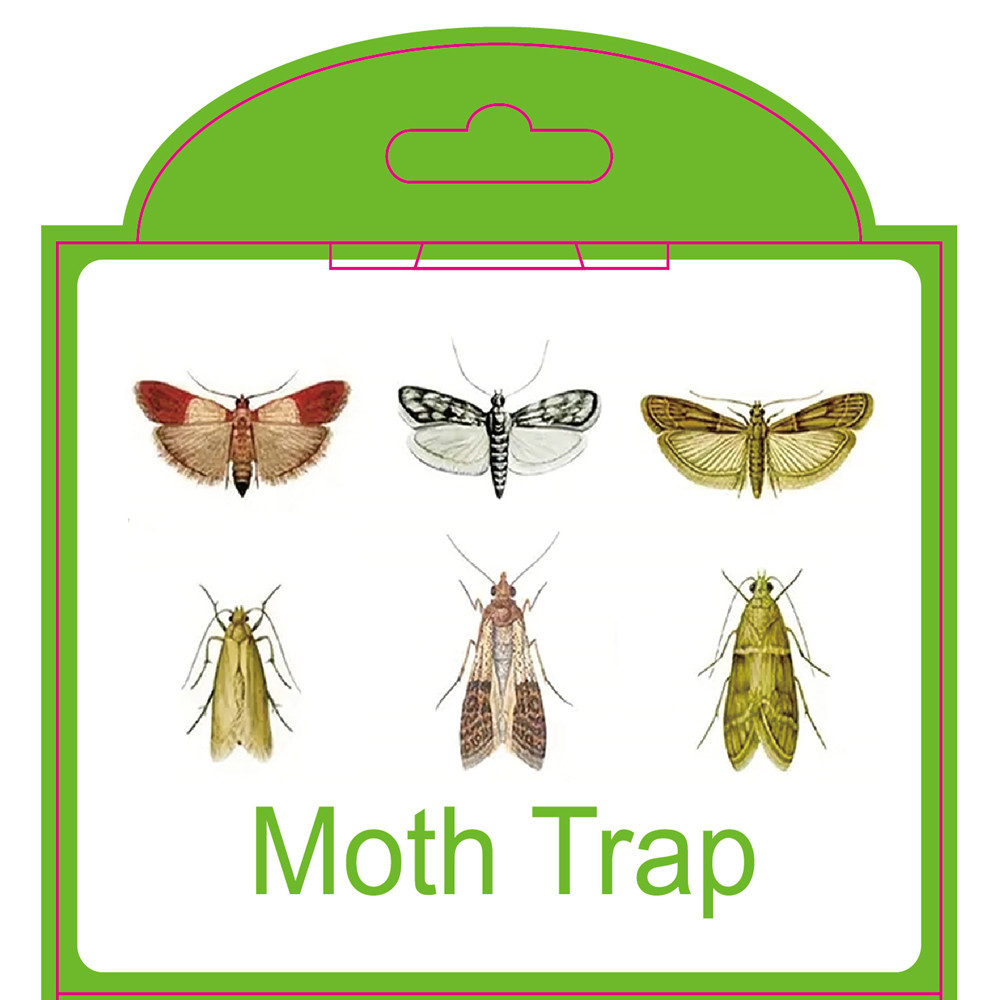 SilentKing 6PCS Moths Traps Pantry Clothes Kitchen Food Home Garden Pest Control Moth Traps Pheromone Moths Sticker Moths Trap