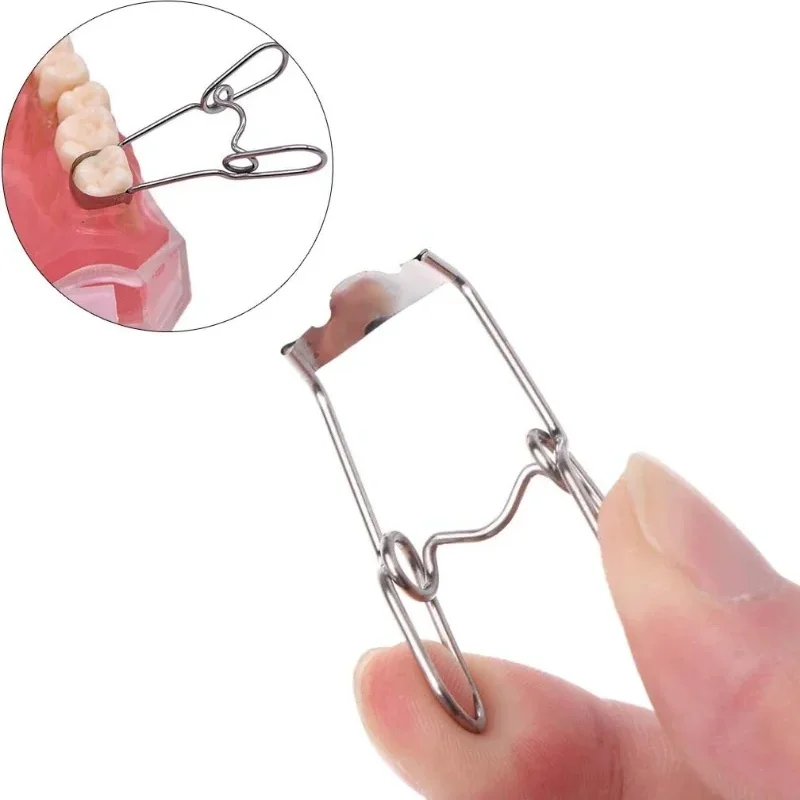 Kit universal da matriz dos matrizes do metal contornos da sela dental com clipse da mola