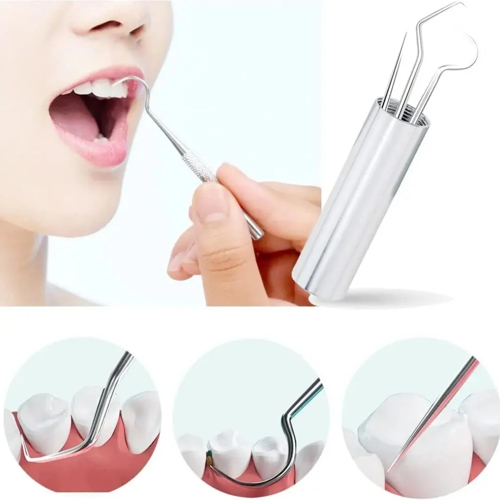 Set di stuzzicadenti in acciaio inossidabile Filo interdentale Stuzzicadenti riutilizzabili Stuzzicadenti portatile Filo interdentale Detergente per denti Pulizia orale