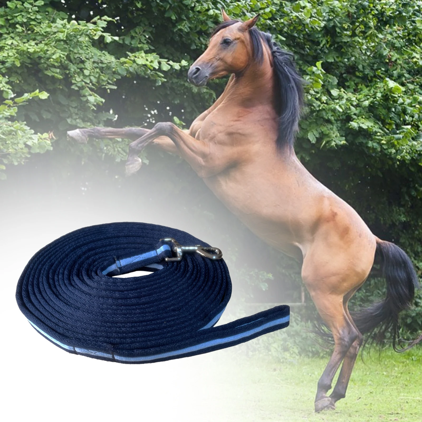 8m Cavallo Corda di Piombo Lunge Line Forte Addensato Guinzaglio di Addestramento per Cavalli per Cani Addensato Resistente Forte Obedienza Recall Corda