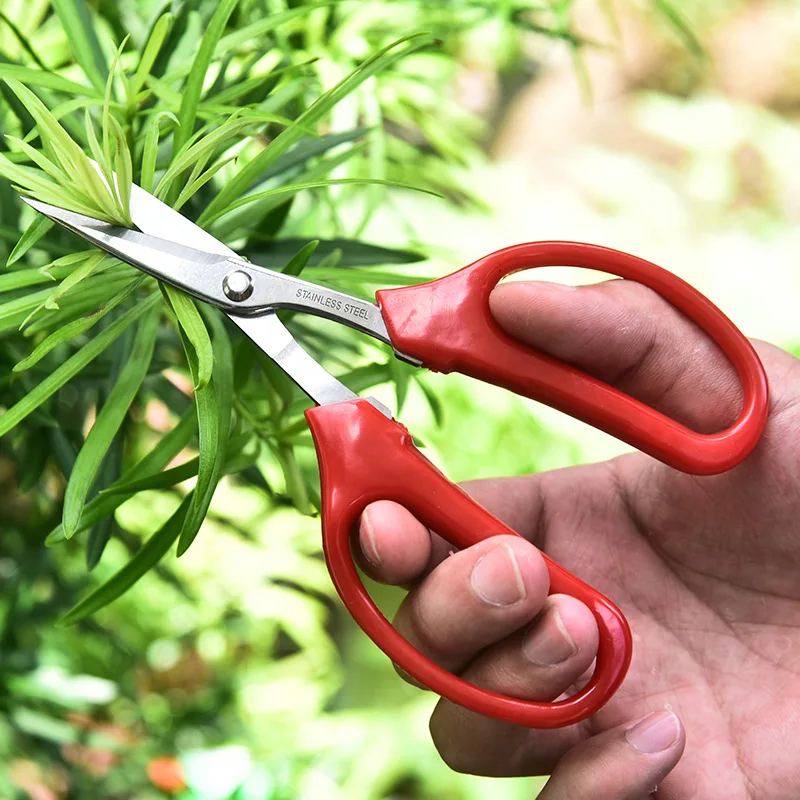 Whosesale Stainless Steel Fruit Grape Scissors Clipper Red PP Comfort Handle Pruning Shears Gardening Tools for Bonsai Flowers