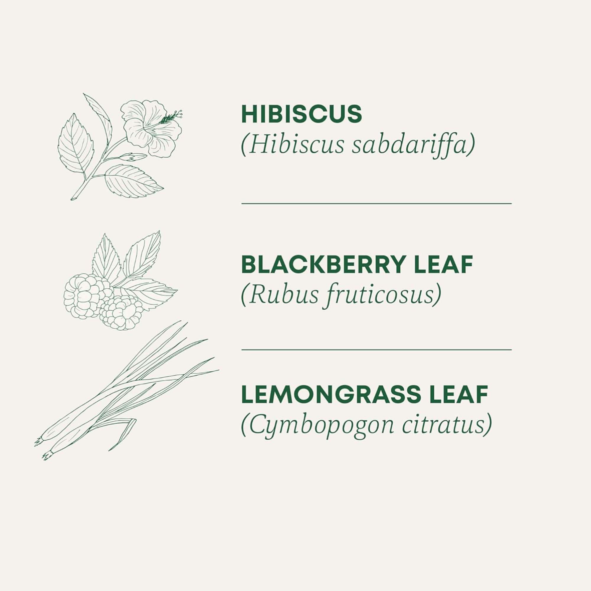 Luoshen flower tea bag, decaffeinated herbal tea bag, rich in antioxidants, tea lovers' gift, antioxidant rich mixture