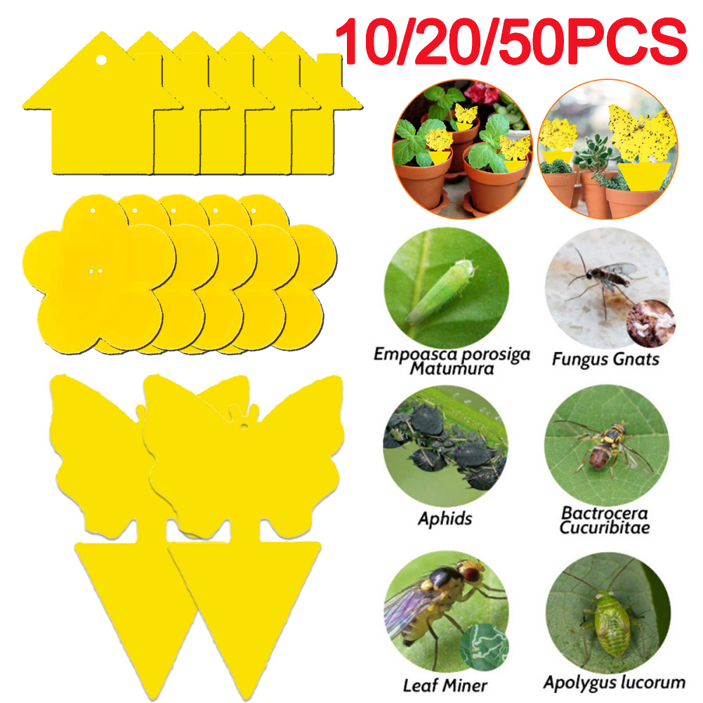 50-10Pcs Sticky Traps Fruit Fly Trap Yellow Sticky Bug Trap for Indoor Outdoor Use Insect Pest Control Garden Strong Glue Plant