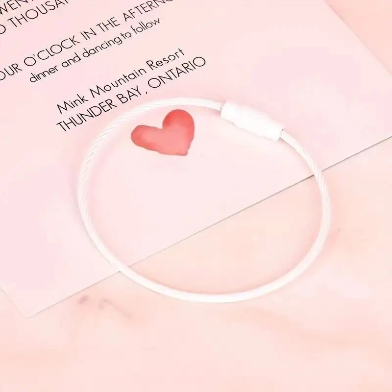 10 Stück bunte Gepäckanhänger-Clips aus Edelstahldraht, langlebig und einfach zu installieren, perfekt für Reisen und den täglichen Gebrauch