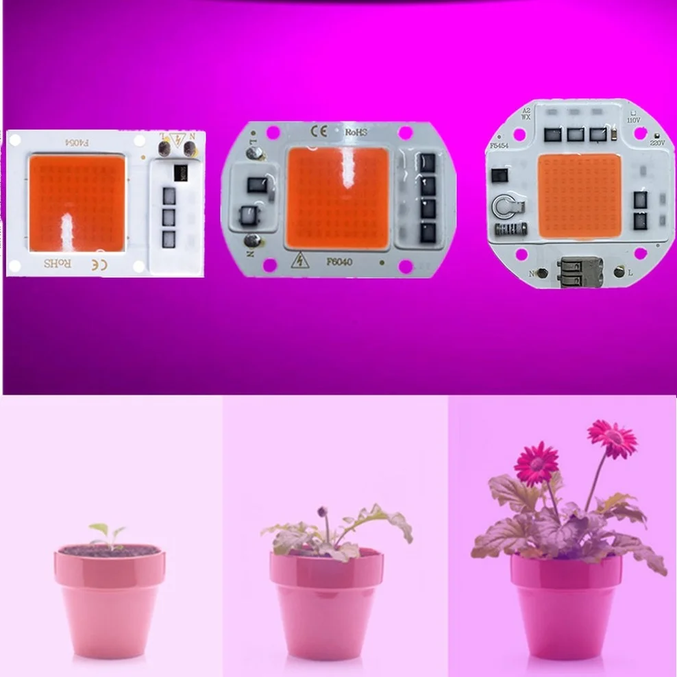 Đèn LED Âm Trần COB Chip Ánh Sáng Suốt AC 220/110V 10W 20W 30W 50W-100W Không Cần Trình Điều Khiển Cho Tăng Trưởng Hoa Cây Con Phát Triển Vật Có Đèn Chiếu Sáng