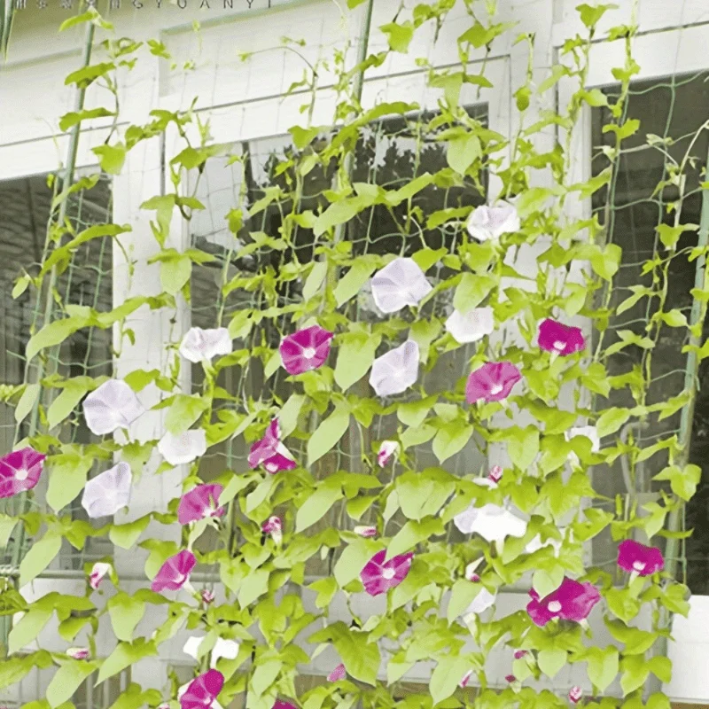 Grünes Anti-Vogel-Netz Teich Pool Schutz netz Mesh Garten Pflanze Obst Gemüse Blumen fallen Netz schützen Schädlings bekämpfung