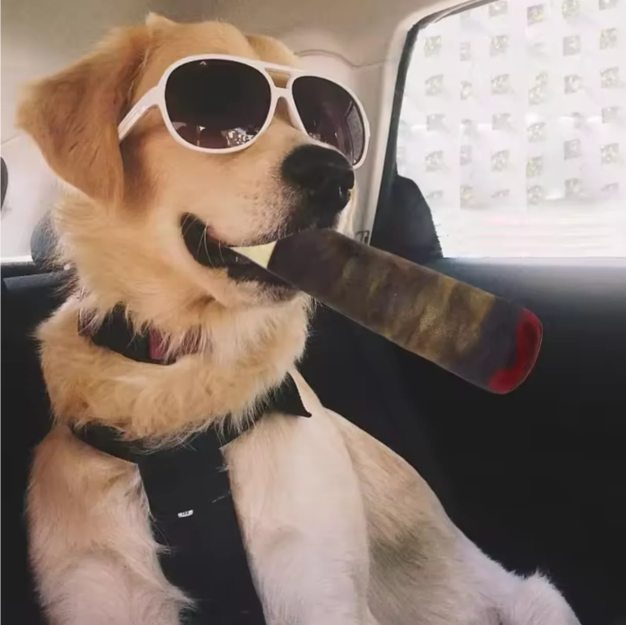 Grappig interactief hondenspeelgoed - Sigaarontwerp Pluche piepend huisdierspeelgoed Tandenslijpen Creatief kauwspeeltje voor kleine middelgrote honden