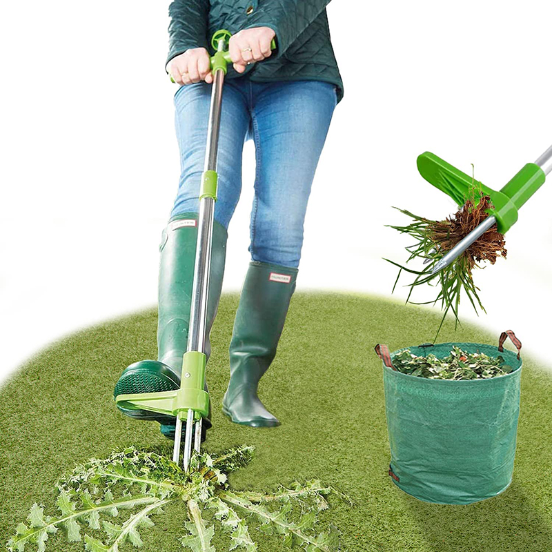 Removedor de malas hierbas de mango largo, deshierbe duradero para césped y jardín, herramientas extractoras de raíces de césped para patio al aire libre, elementos de plantación de jardín