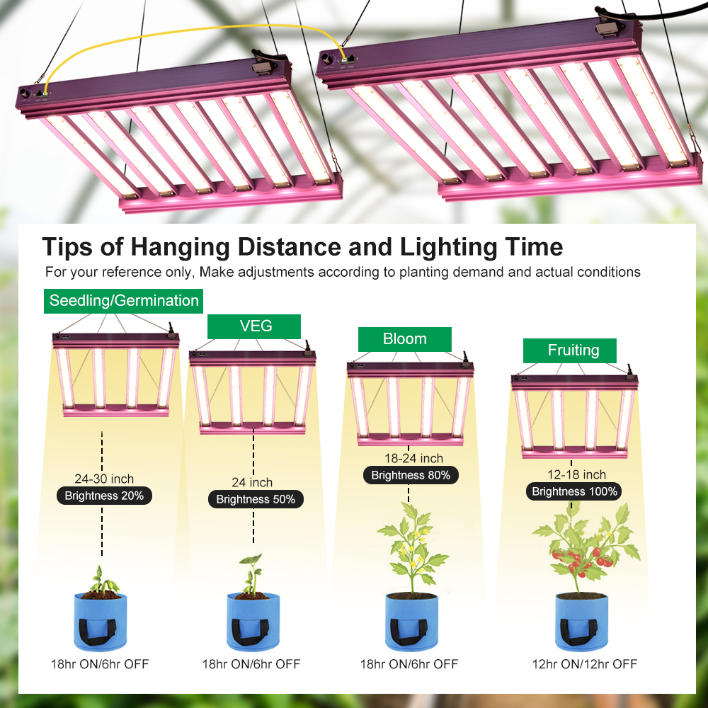 Vollspektrum-LED-Wachstumslicht, 200 W, 300 W, AC100–277 V, LM281B, superhell, Hydrokultur, Gewächshaus, Blumen, Samen, Wachstumslampe