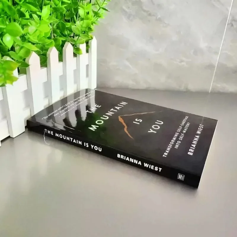 The Mountain Is You: Transforming Self-Sabotage in Self-Mastery Englisch Bücher Geburtstagsgeschenke