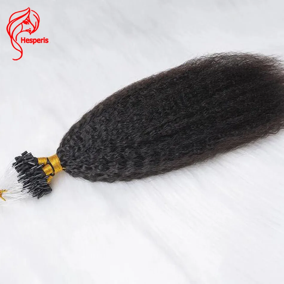 Hesperis-Extensions de Cheveux Naturels Crépus Lisses pour Femme Noire, Micro Boucle Ombré, 100 Mèches/Paquet