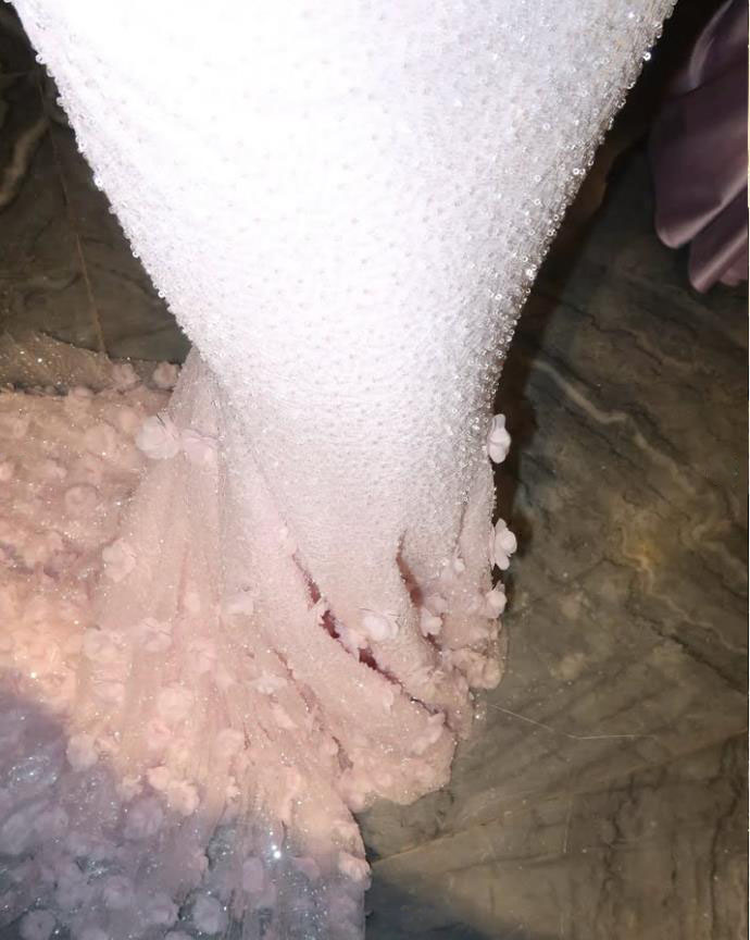 Personalizado de alta qualidade com decote em v até o chão rosa apliques mangas curtas sem costas sereia فساتVestidos De Gala