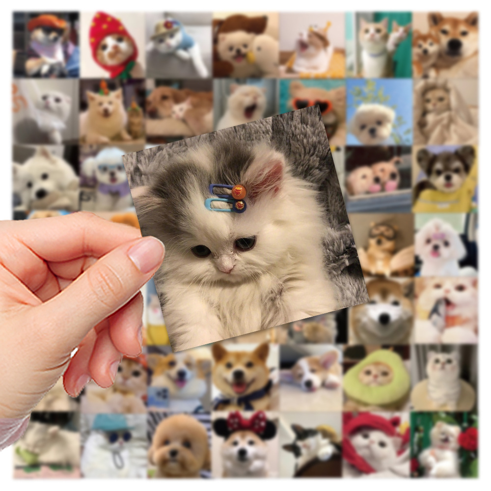 10/30/52 Uds lindo perro gato MEME pegatinas PVC impermeable calcomanías DIY portátil teléfono equipaje papelería divertido Animal pegatina juguetes regalo