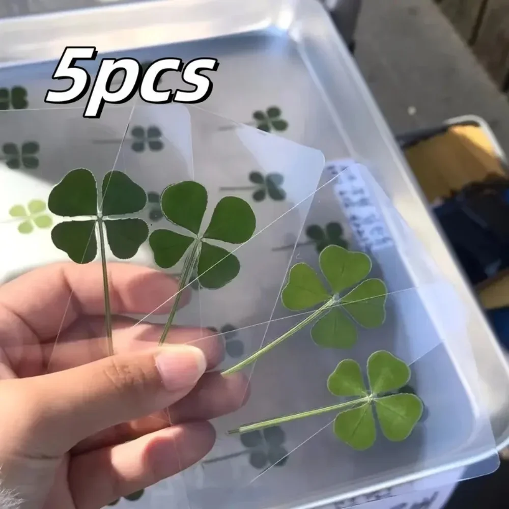 5 cartoline Lucky Clover, biglietti dei desideri trasparenti in erba, ideali per segnalibri e decorazioni, regali festivi perfetti