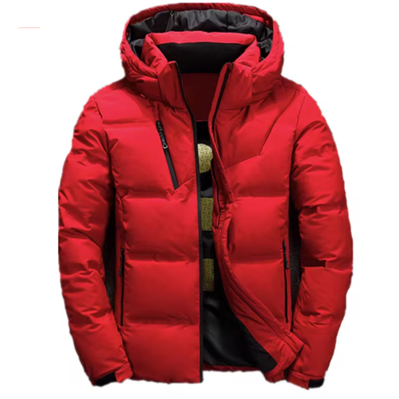 Fgkks 2024 Kwaliteit Merk Heren Donsjack Slanke Dikke Warme Effen Kleur Capuchon Jassen Mode Casual Donsjacks Man