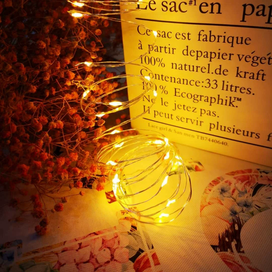 LED Fee Lichterketten USB Kupferdraht Firefly Girlande Licht für Zuhause Schlafzimmer Geburtstagsgeschenk Hochzeit Party Urlaub Dekoration