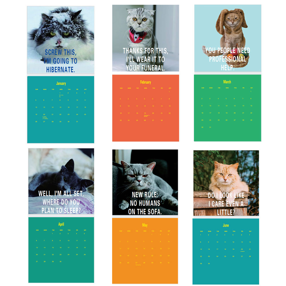 2025 Pissed Off Cats Kalender, Pissed Off Cats 2025 Wandkalender, 12-Monats-Planer für Witzgeschenk, freches Geschenk für Katzenliebe